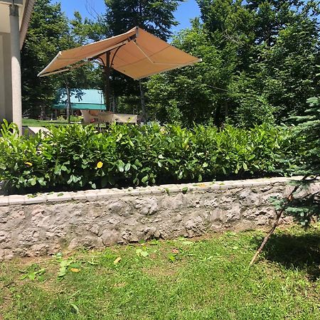Mountain House Ivanova Korita Cetinje Exterior foto